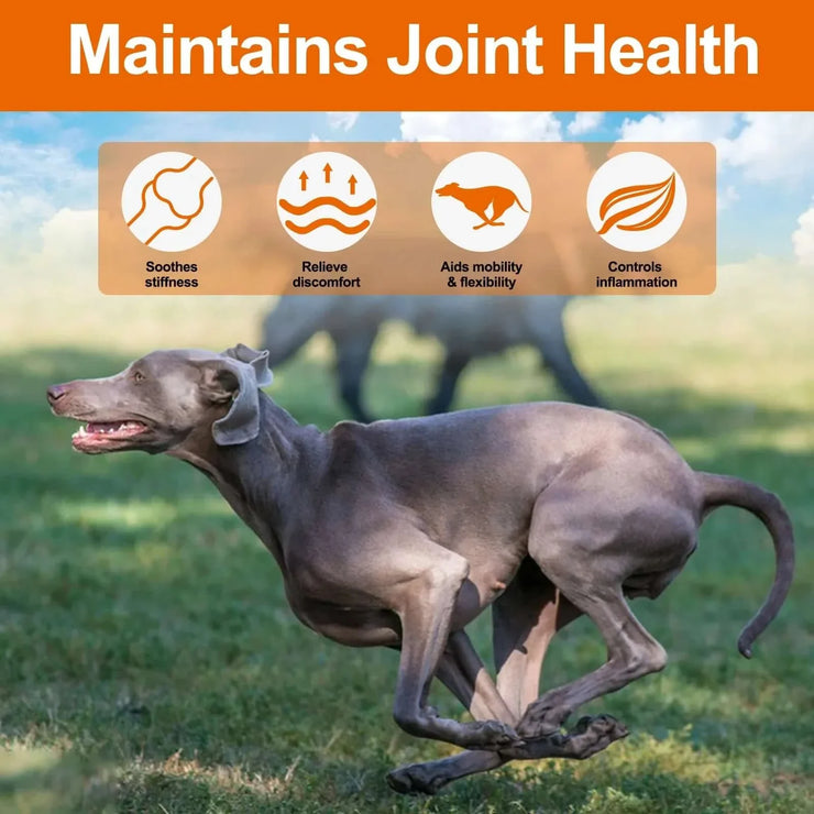 Dogs 170 Dog Joint Pain Relief Treats Chondroitin MSM Dog Joint Supplement Health