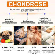 Dogs Glucosamine Joint Pain Relief Treats Chondroitin