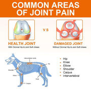 Dogs 170 Dog Joint Pain Relief Treats Chondroitin MSM Dog Joint Supplement Health