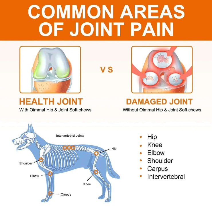 Dogs 170 Dog Joint Pain Relief Treats Chondroitin MSM Dog Joint Supplement Health