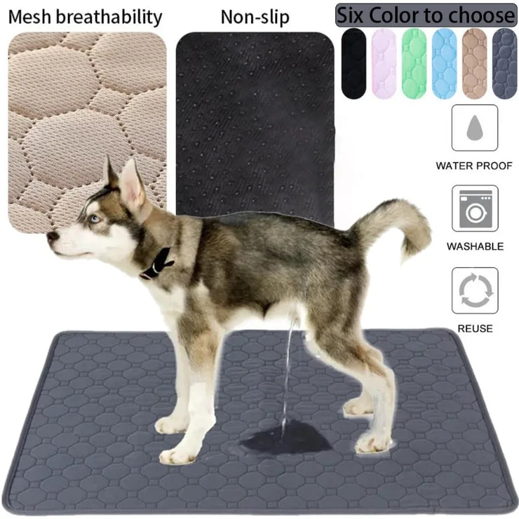 EcoComfort Washable Pee Pad, pet blanket, highly absorbent, eco-friendly, reusable, non-slip, waterproof, six color options.