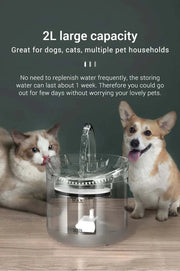 Smart Pet Water Fountain: Automatic Sensor Drinker for Cats & Dogs!