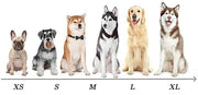 Size guide for Quick-Dry Pet Bathrobe, showing different dog breeds from XS to XL.