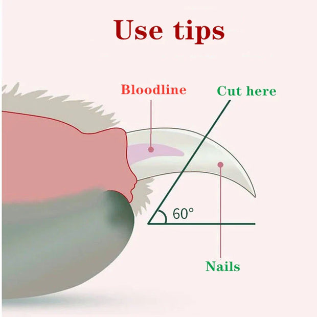 Diagram showing tips for trimming pet nails safely with LED Pet Nail Clippers, highlighting where to cut.