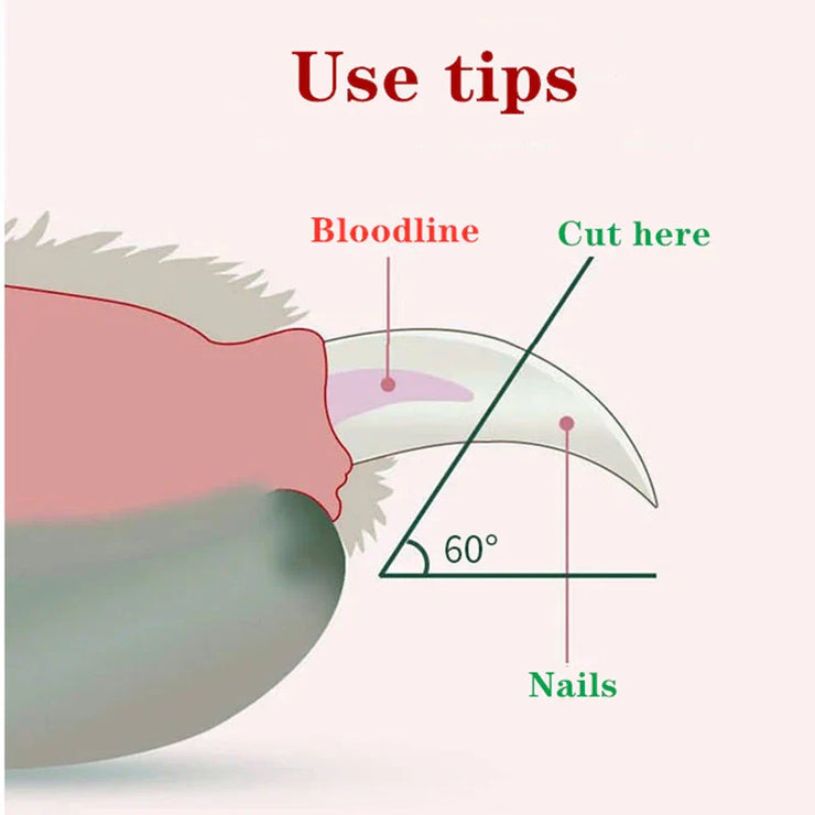 Diagram showing tips for trimming pet nails safely with LED Pet Nail Clippers, highlighting where to cut.