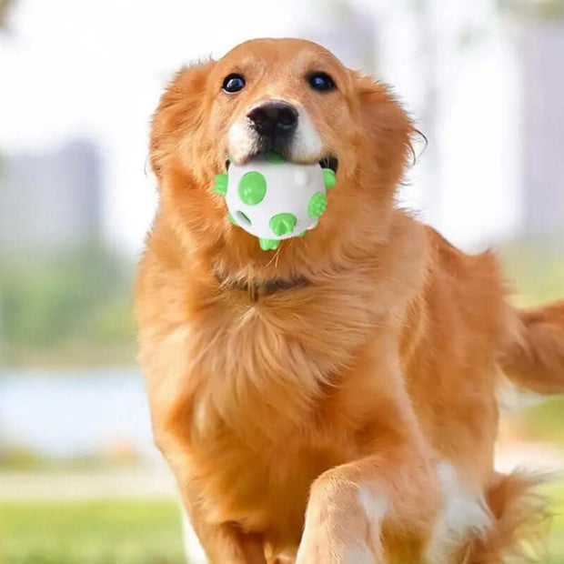 Innovative Teething Toys