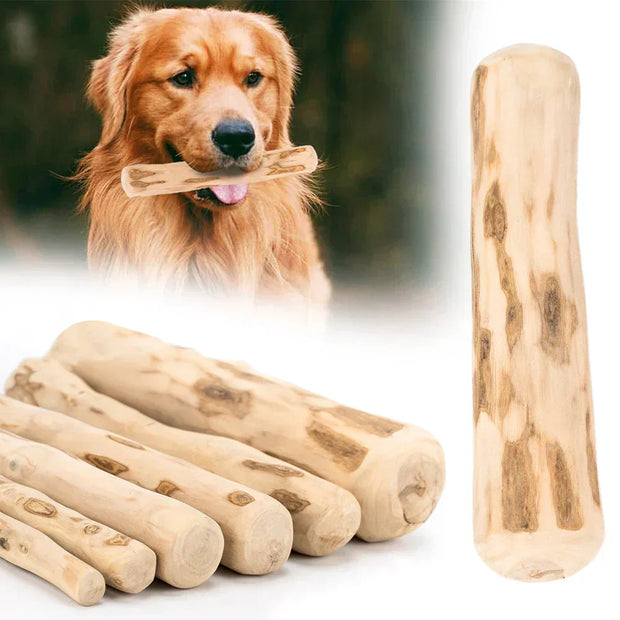 Sustainable coffee wood dog chew stick for dental health and stress relief.