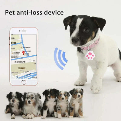 Paw-Shaped GPS Tracker