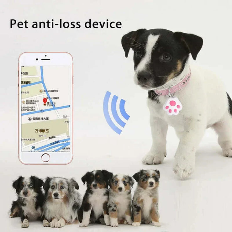 Paw-Shaped GPS Tracker