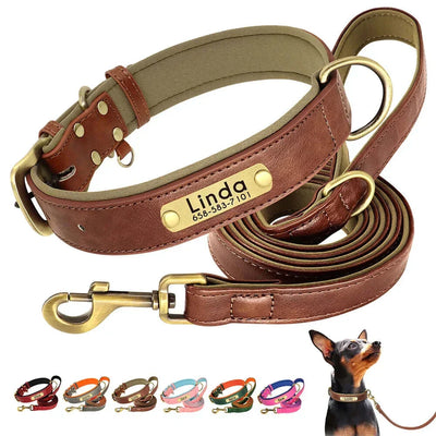 Personalized Dog Collar 