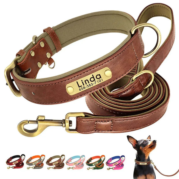 Personalized Dog Collar 