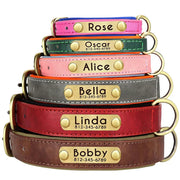 Personalized Dog Collar 