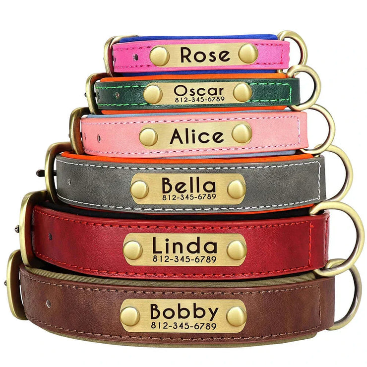 Personalized Dog Collar 