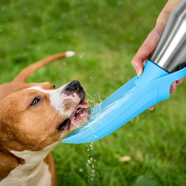 Large Dog Water Bottle Stainless Steel Outdoor Portable Dog Water Bowl