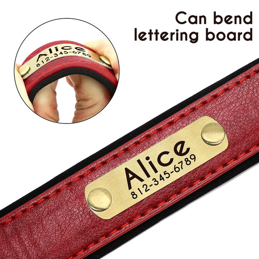 Personalized Leather Dog Collar & Leash Set with Engraved Nameplate