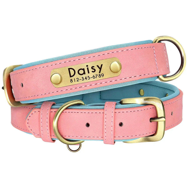 Personalized Dog Collar 