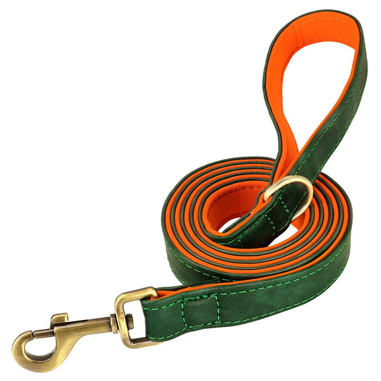 Personalized Leather Dog Collar & Leash Set with Engraved Nameplate