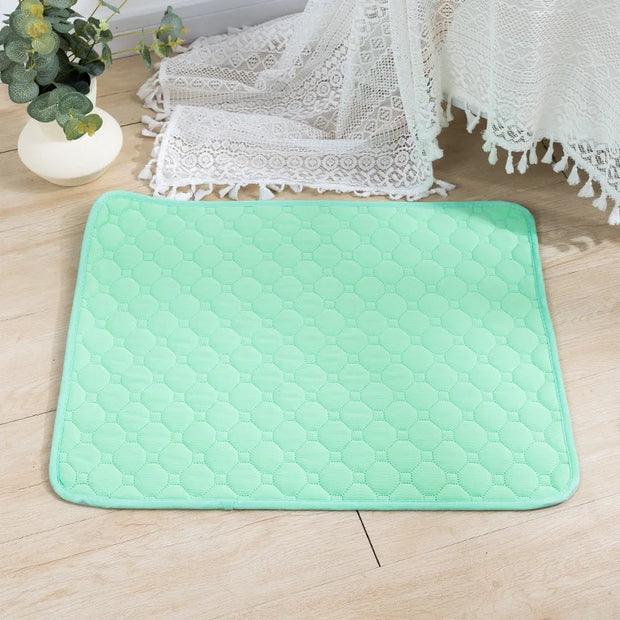 EcoComfort Washable Pee Pad and Pet Blanket, absorbent and eco-friendly.