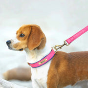 Personalized Dog Collar 