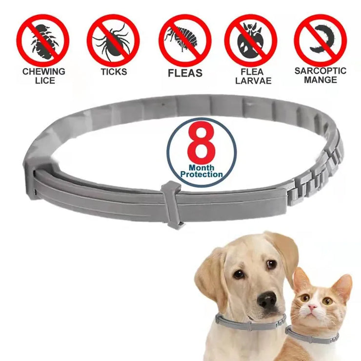 FleaGuard Retractable Pet Collar for effective flea and tick prevention; adjustable, durable design for pets of all sizes.