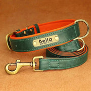 Personalized Dog Collar 