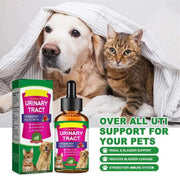 Natural Dog UTI Solution Dog UTI Dog Urinary Tract Solution