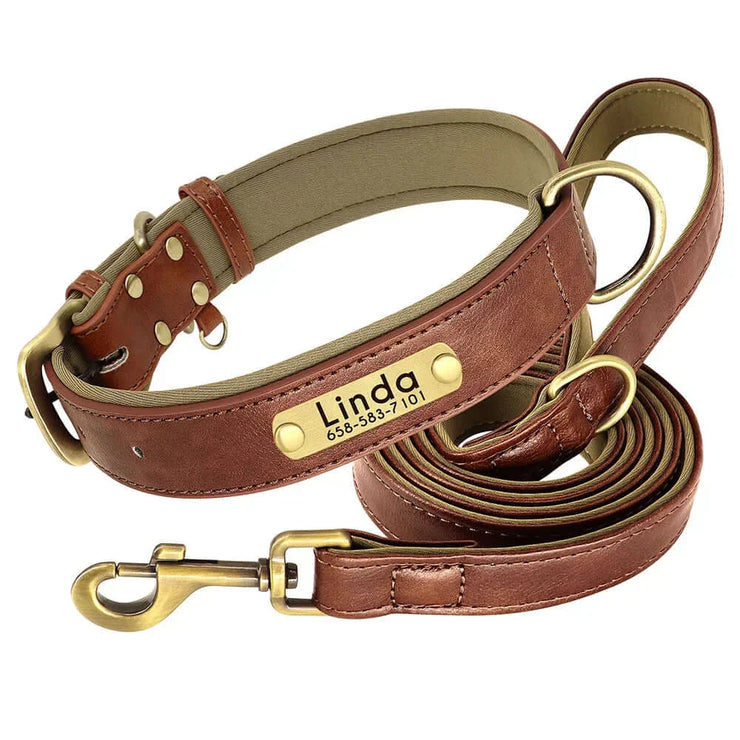 Personalized Dog Collar 