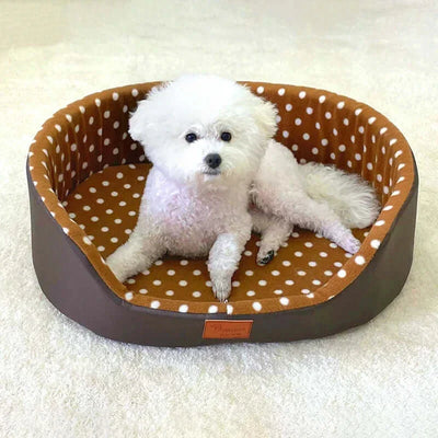 Dog resting on a brown polka dot dog bed mat.