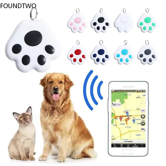 Shop Essential Pet Accessories for Dogs  & Cats