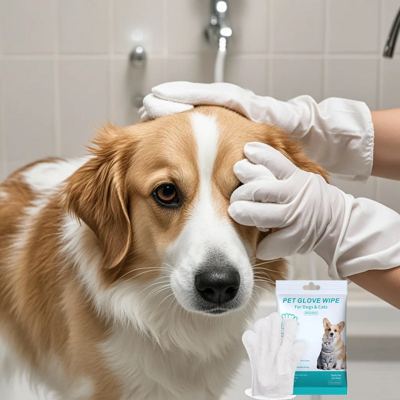 Load image into Gallery viewer, Pet Disposable Gloves for Grooming
