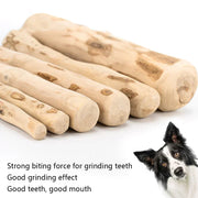 Natural Dog Chew Stick made from sustainable coffee wood, ideal for dental health and stress relief.