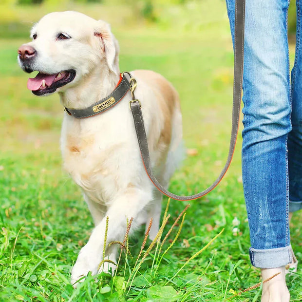 Personalized Dog Collar 