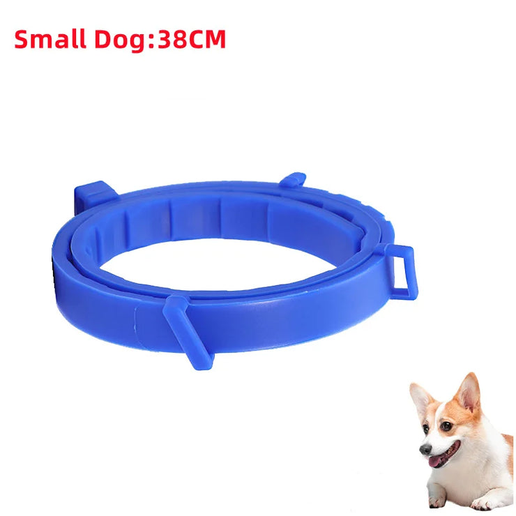 FleaGuard Retractable Pet Collar for Small Dogs 38CM, effective flea protection, blue durable design.