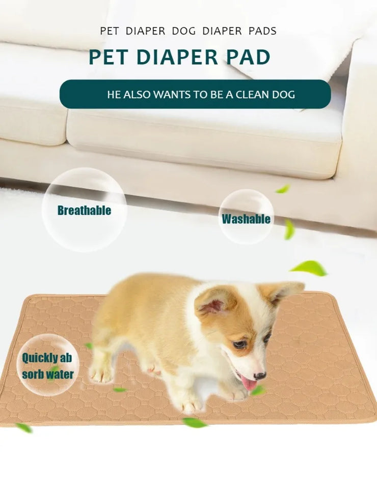 EcoComfort Washable Pee Pad & Pet Blanket