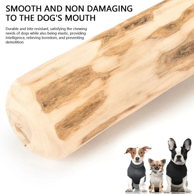 Natural Dog Chew Stick made from sustainable coffee wood, ideal for dental health and stress relief.