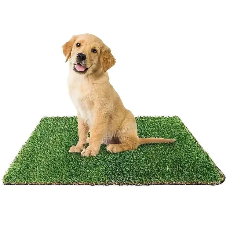 Artificial grass dog potty pad with puppy sitting on it.