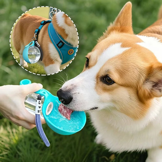 2in1 Portable Dog Water Bottle Built In Collapsible Bowl Outdoor Walking Hiking Travel Water Feeder Compact Hydration Cup