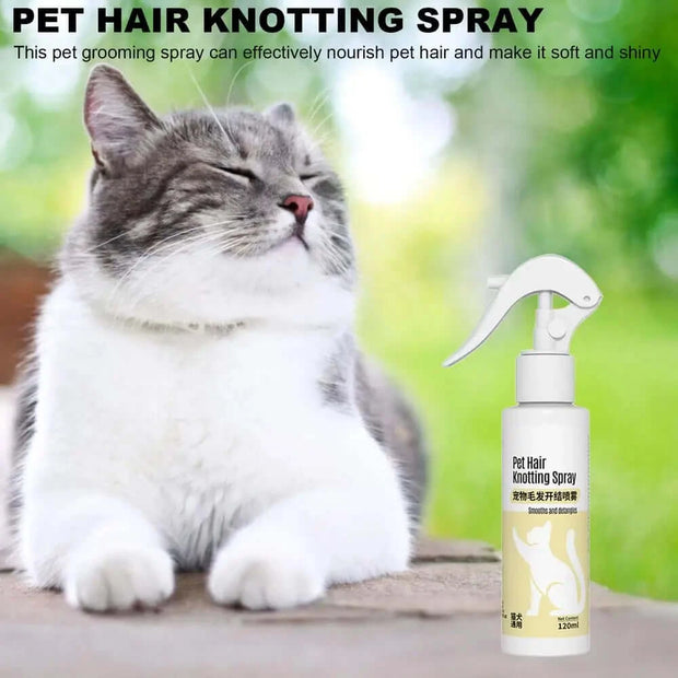 Dog Detangling Spray 120ml Leave-