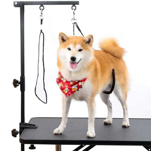 Foldable grooming table arm with adjustable steel bracket for pet grooming.