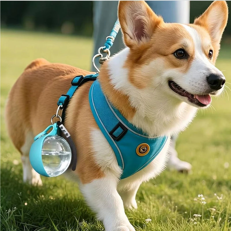 Load image into Gallery viewer, 2in1 Portable Dog Water Bottle Built In Collapsible Bowl Outdoor Walking Hiking Travel Water Feeder Compact Hydration Cup
