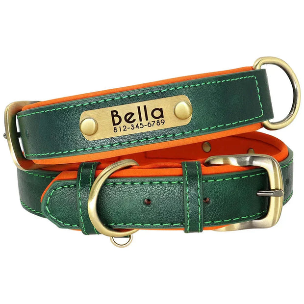 Personalized Dog Collar 