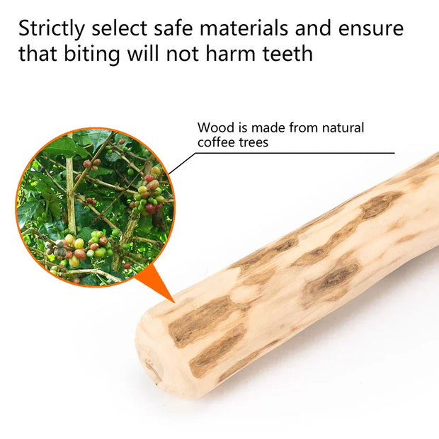 Natural Dog Chew Stick made from sustainable coffee wood, safe for dental health.