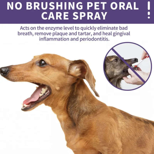 Dog Teeth Cleaning Spray Oral Care Cats Mouth Fresh Remove Tooth Stains Puppy Tartar Removal Deodorant Pet Oral Cleanse Spray