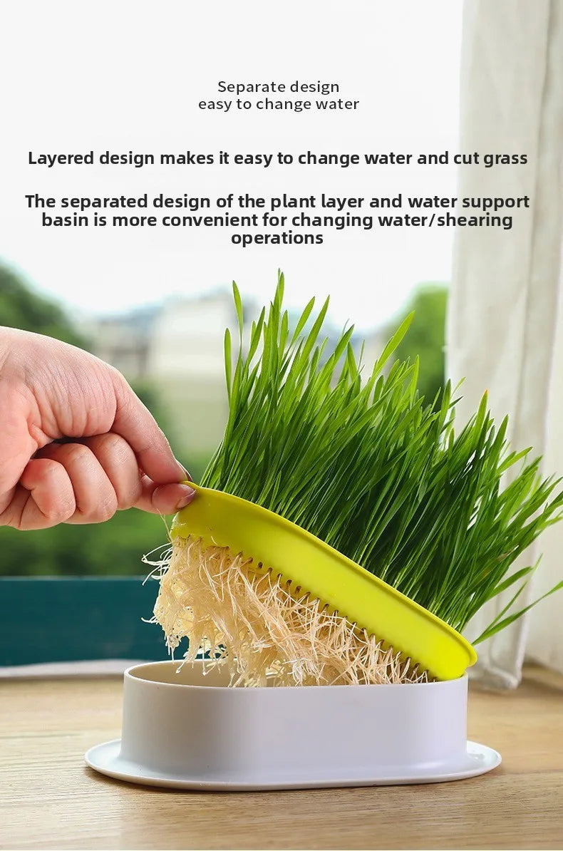 Load image into Gallery viewer, Hydroponic Cat Grass Box
