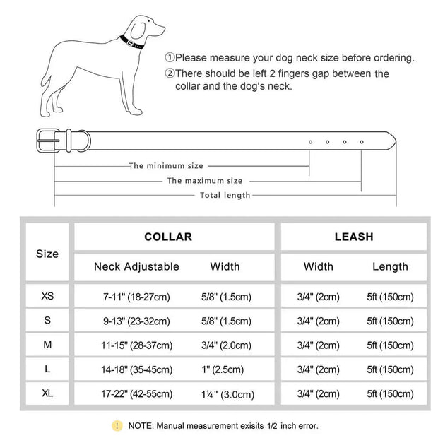 Personalized Dog Collar 