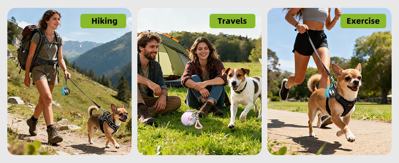 Load image into Gallery viewer, 2-in-1 Portable Dog Water Bottle for Small Dogs - Leak-Proof &amp; Compact Dog Travel Water Bottle -Stainless Steel Bottle &amp; Silicon
