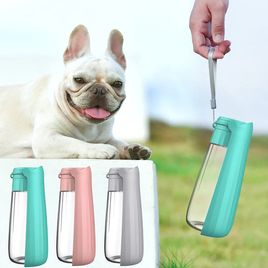 Portable Dog Water Bottle – Leak-proof, BPA-free pet hydration for walks and hikes.