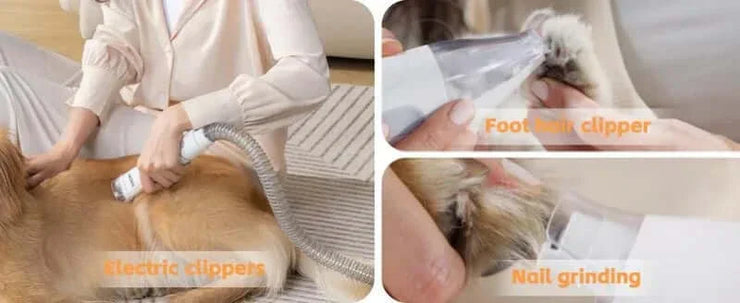 Ultimate Geoorood Pet Grooming Kit: Keep Your Furry Friend Fresh & Fluffy!