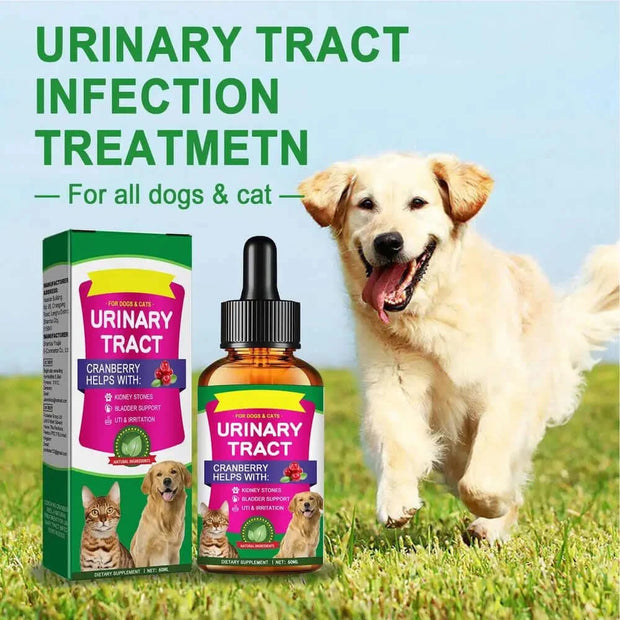 Natural Dog UTI Solution Dog UTI Dog Urinary Tract Solution