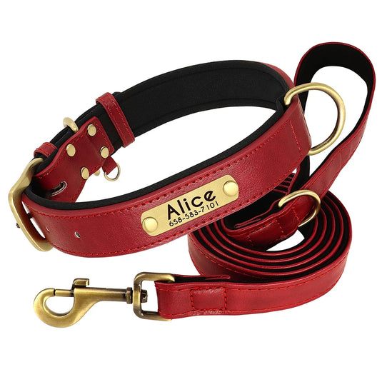 Personalized Leather Dog Collar & Leash Set with Engraved Nameplate